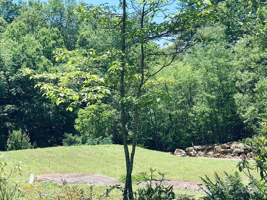34 Grouse Haven Lane Sylva NC 28779