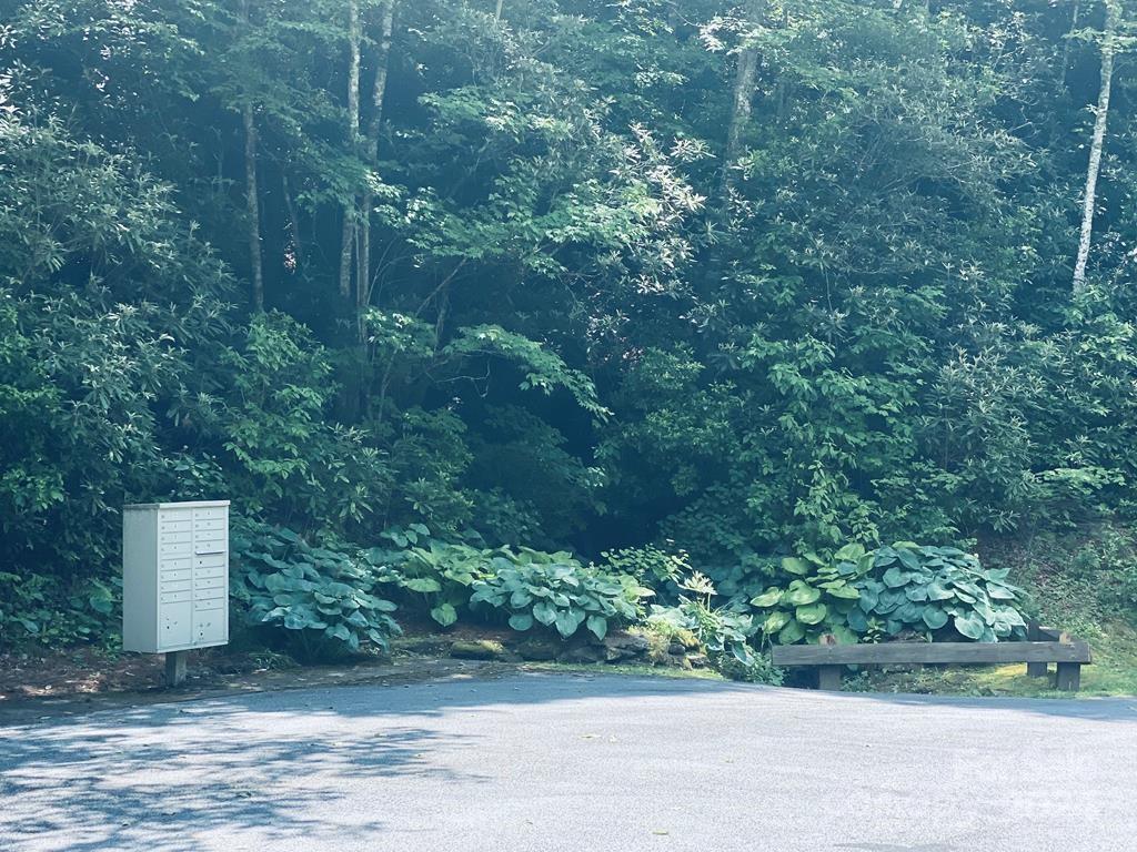 34 Grouse Haven Lane Sylva NC 28779