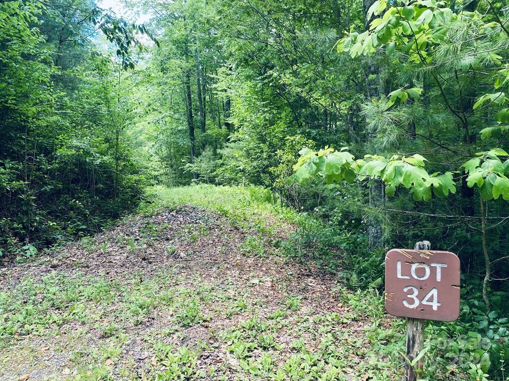 34 Grouse Haven Lane Sylva NC 28779