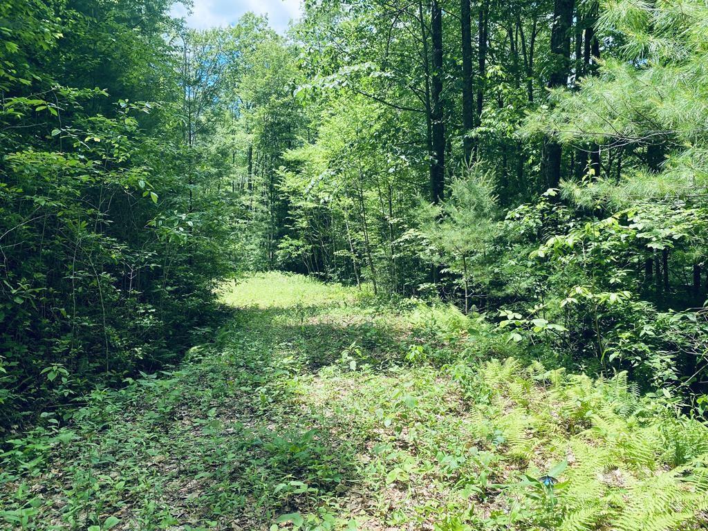 34 Grouse Haven Lane Sylva NC 28779