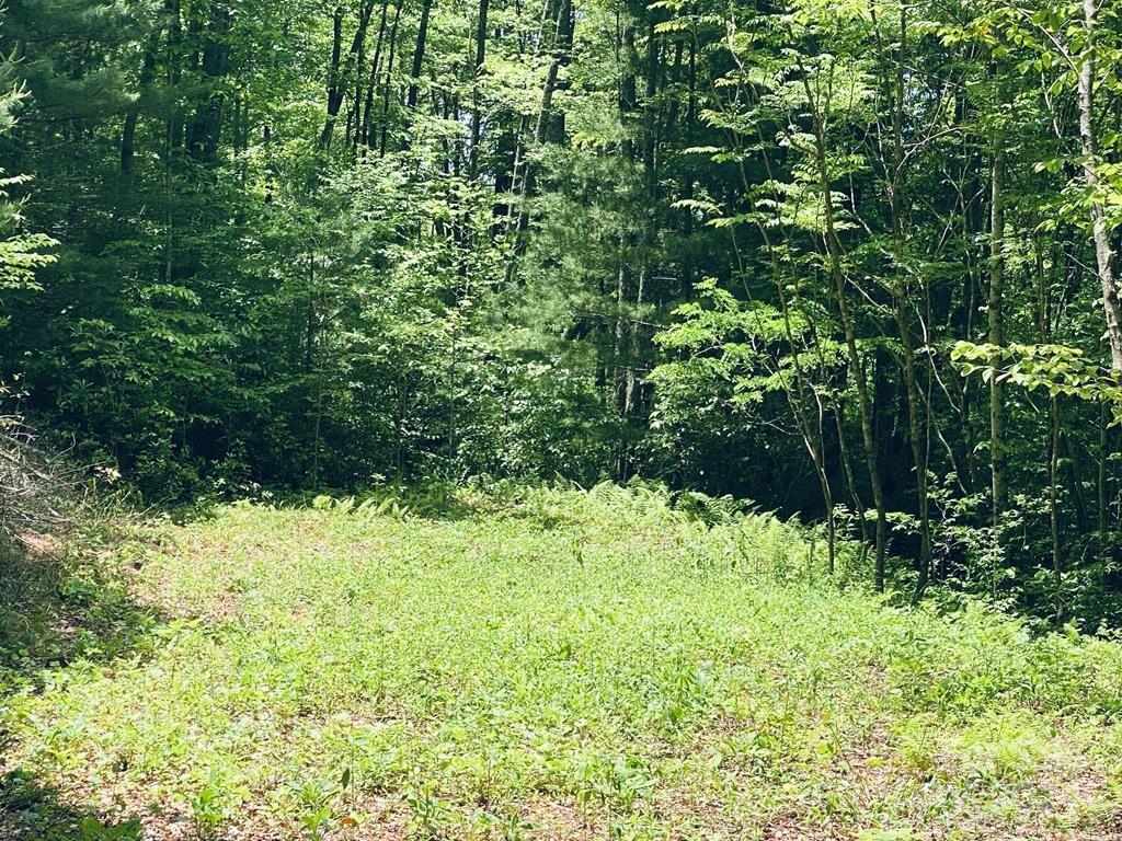 34 Grouse Haven Lane Sylva NC 28779