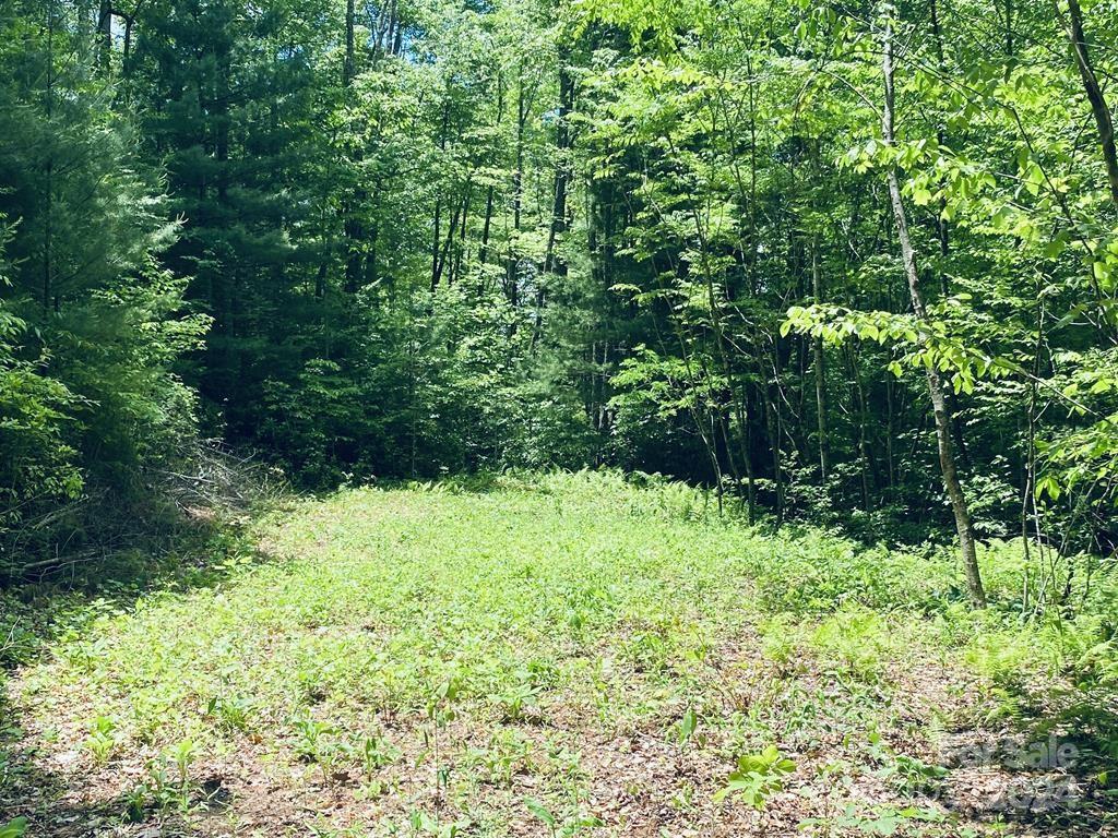 34 Grouse Haven Lane Sylva NC 28779