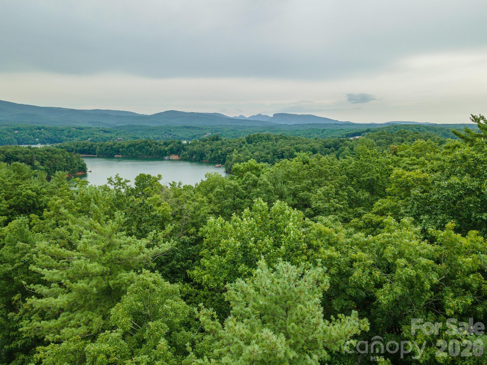Tbd Dockside Drive Nebo NC 28761