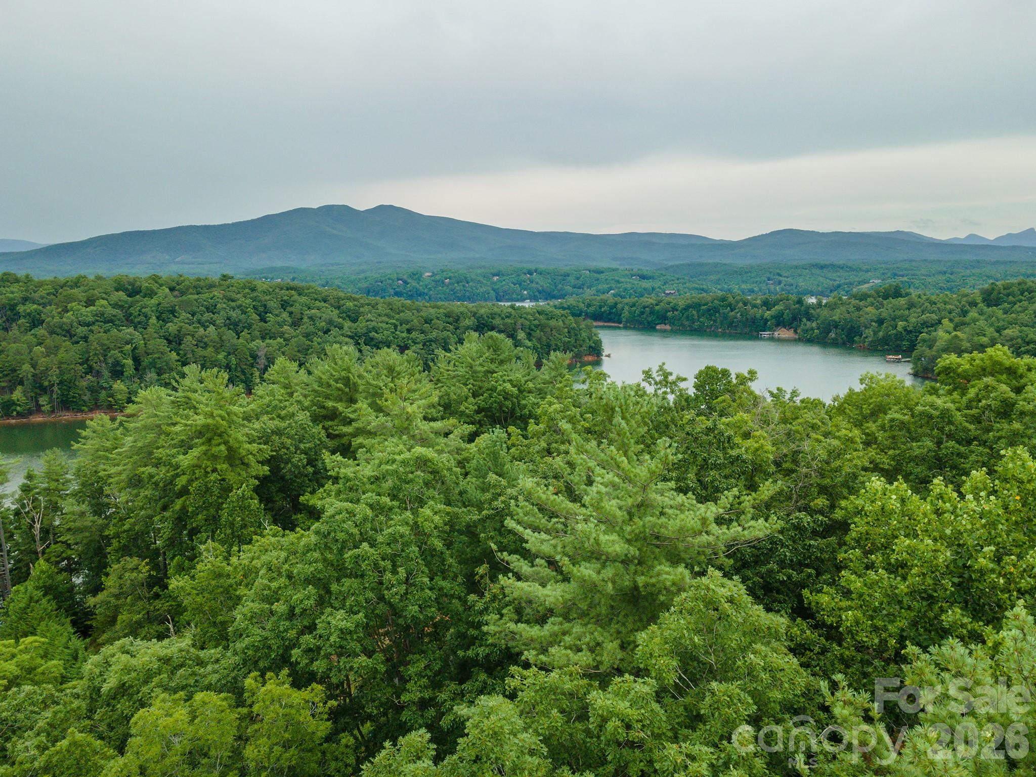 Tbd Dockside Drive Nebo NC 28761