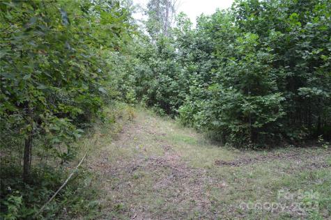 9999 Still Spring Road Black Mountain NC 28711