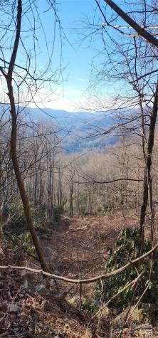 9999 Still Spring Road Black Mountain NC 28711