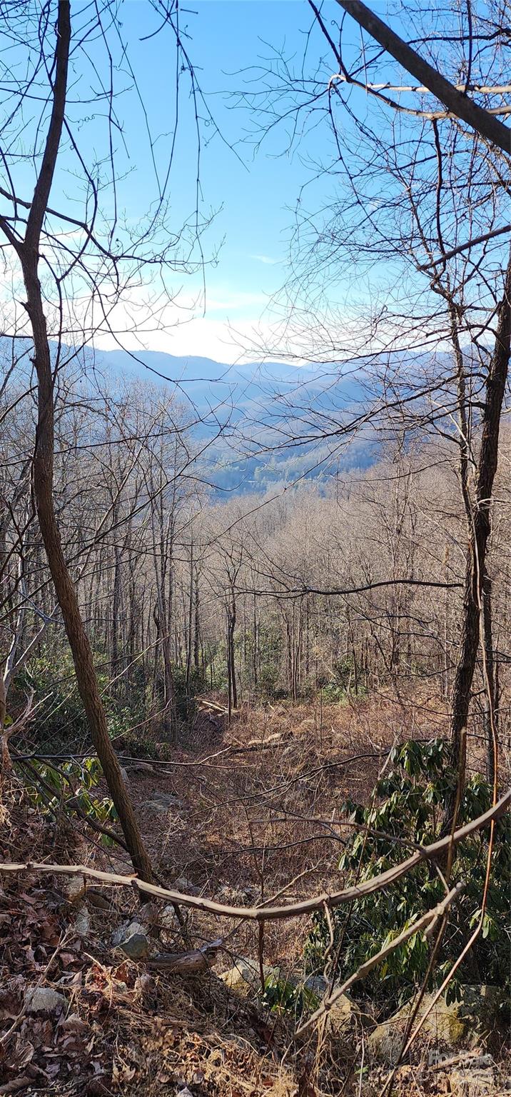 9999 Still Spring Road Black Mountain NC 28711
