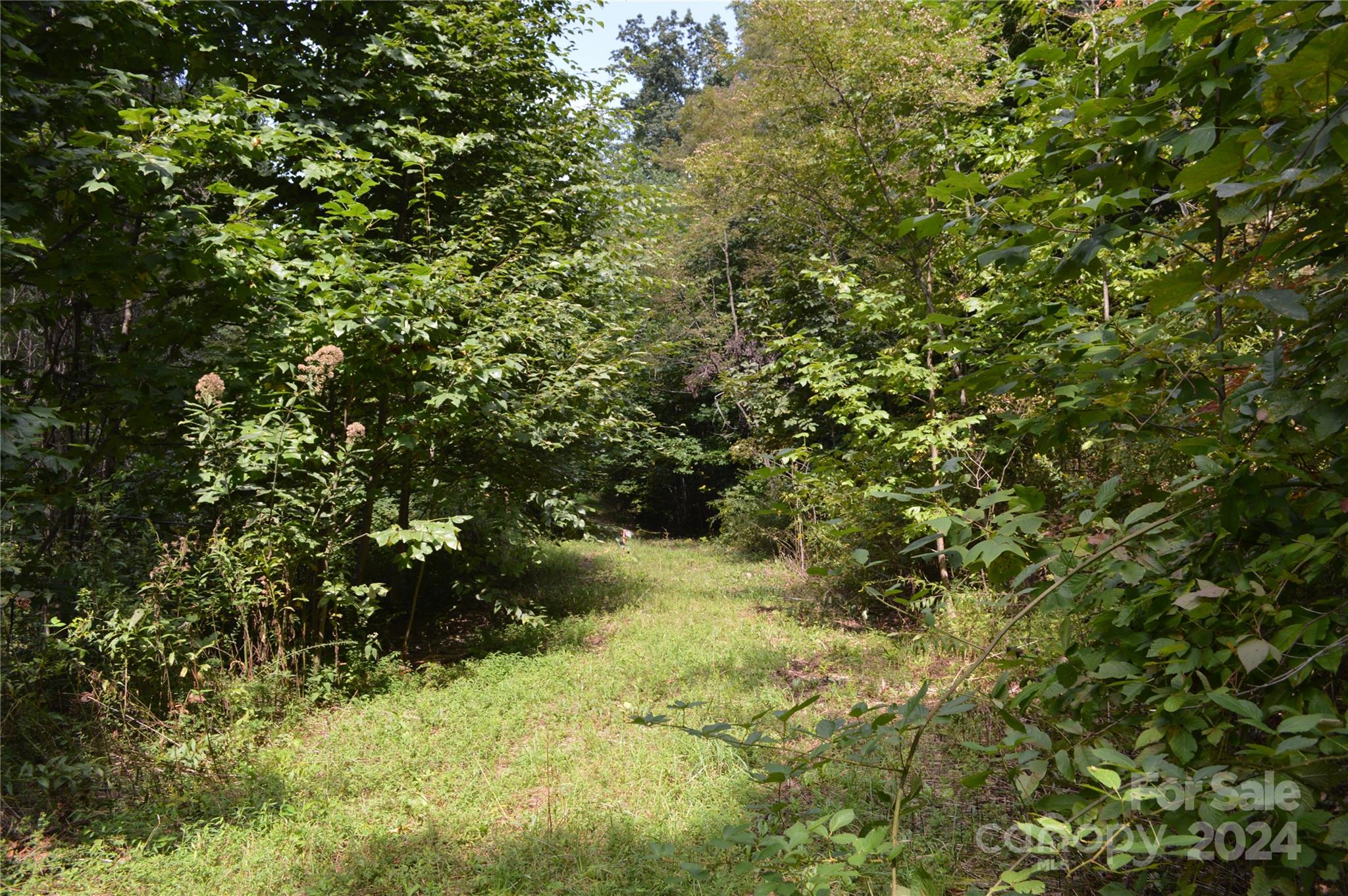 9999 Still Spring Road Black Mountain NC 28711