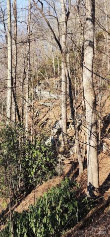 9999 Still Spring Road Black Mountain NC 28711