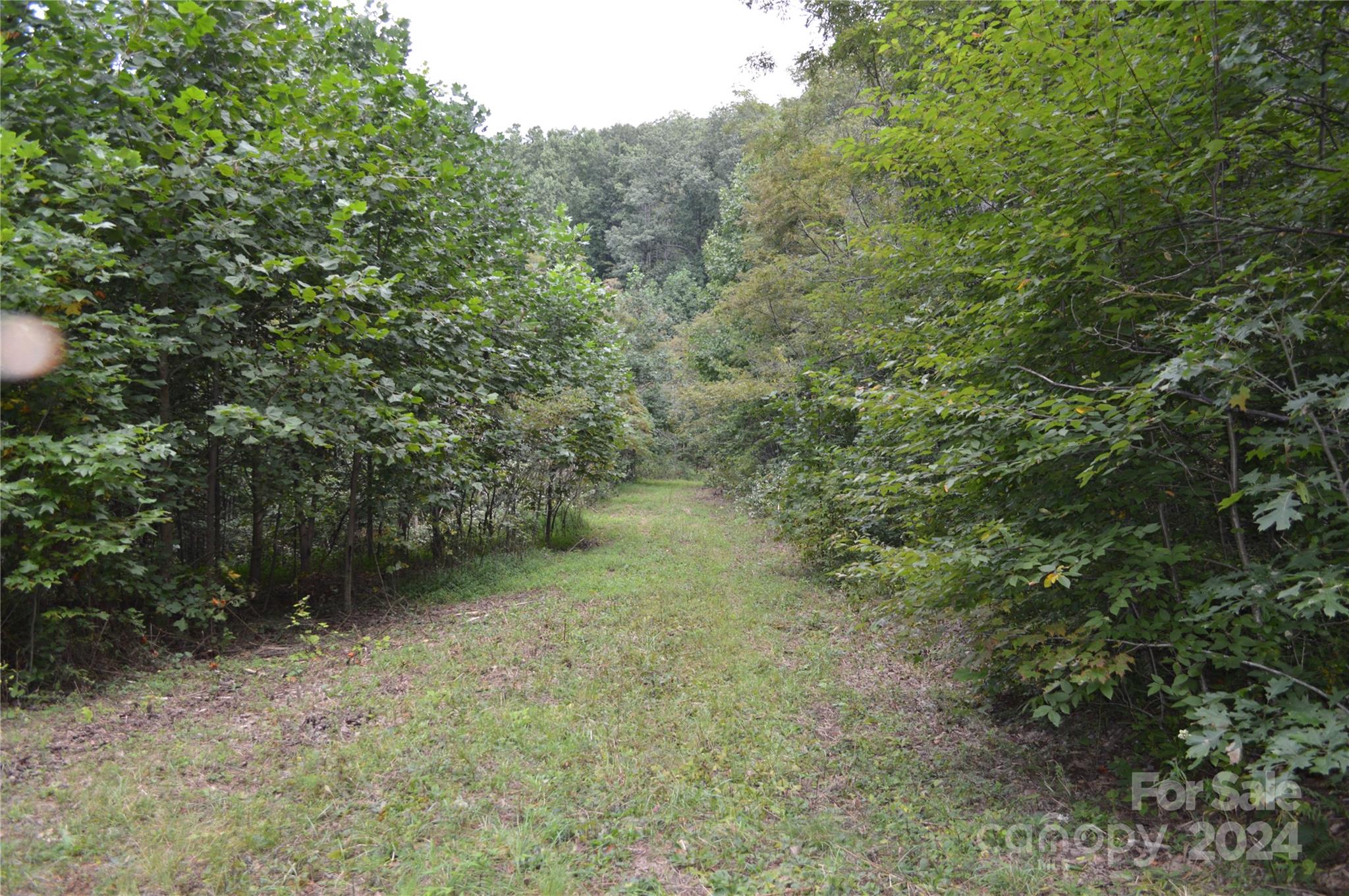 9999 Still Spring Road Black Mountain NC 28711