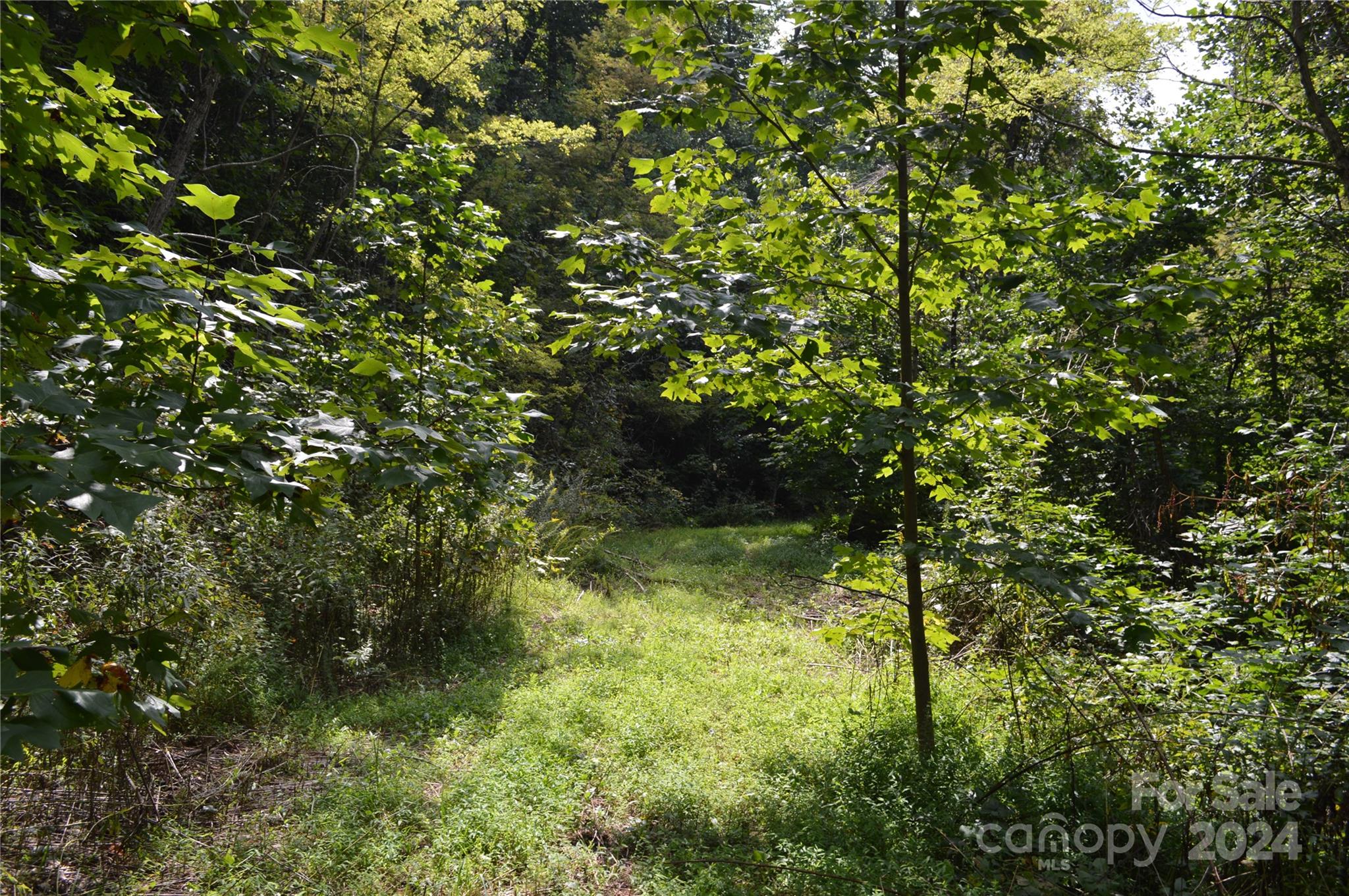 9999 Still Spring Road Black Mountain NC 28711