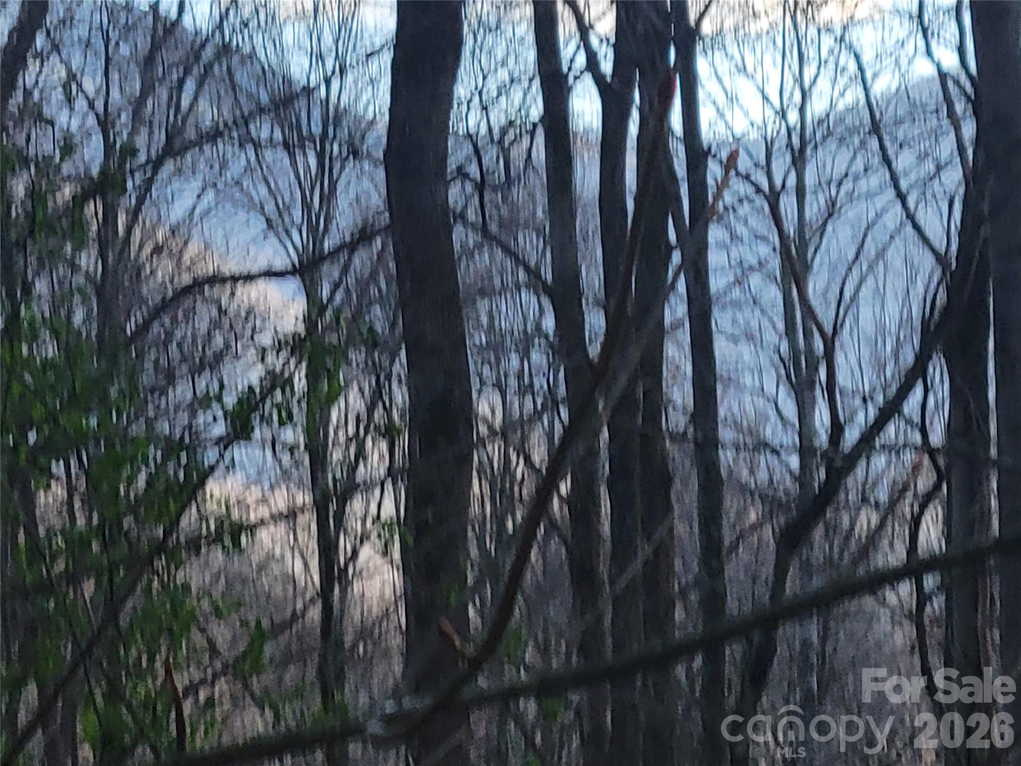 00 Rosewood Lane Maggie Valley NC 28751