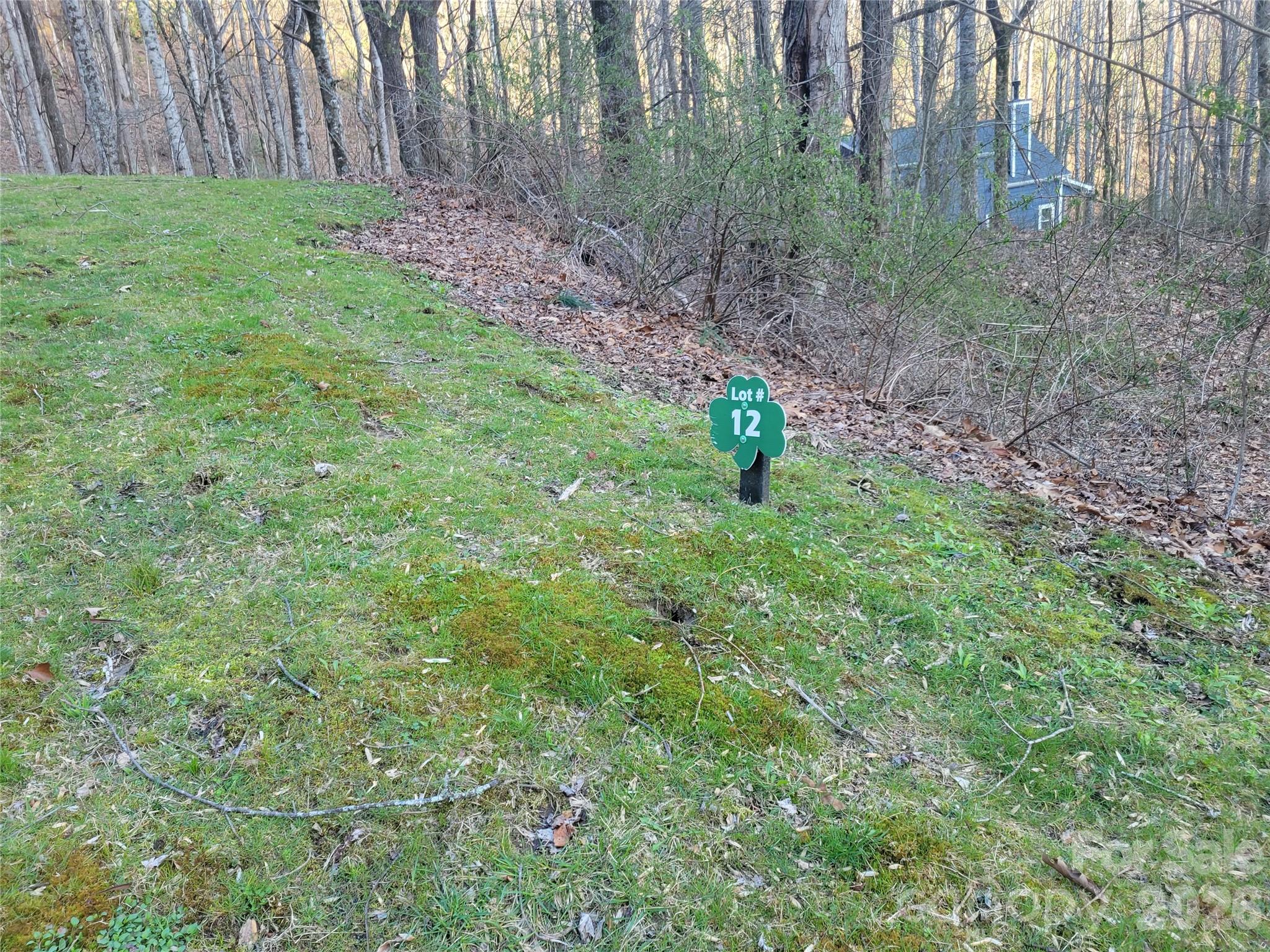 00 Rosewood Lane Maggie Valley NC 28751