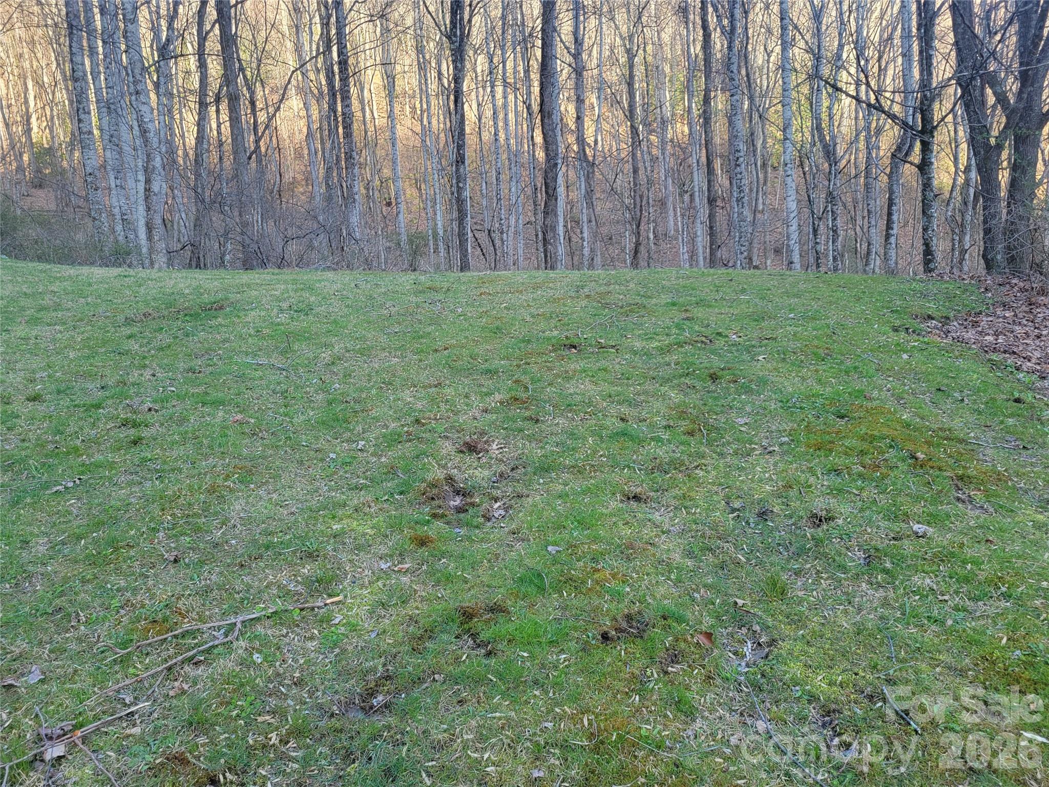 00 Rosewood Lane Maggie Valley NC 28751