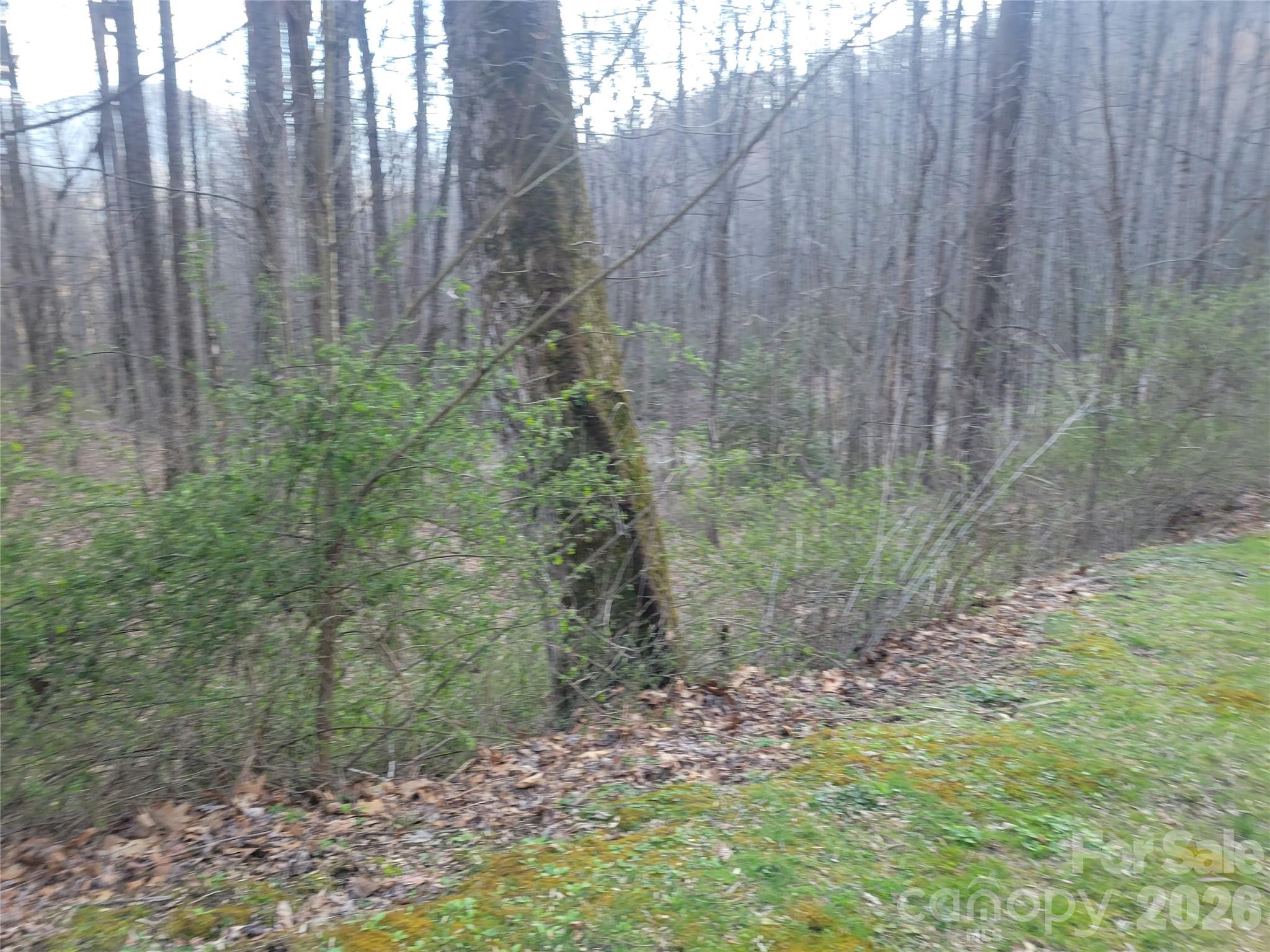 00 Rosewood Lane Maggie Valley NC 28751