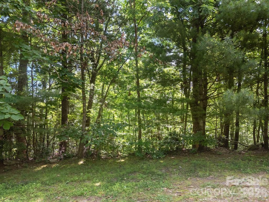 360 Kenmure Drive Flat Rock NC 28731