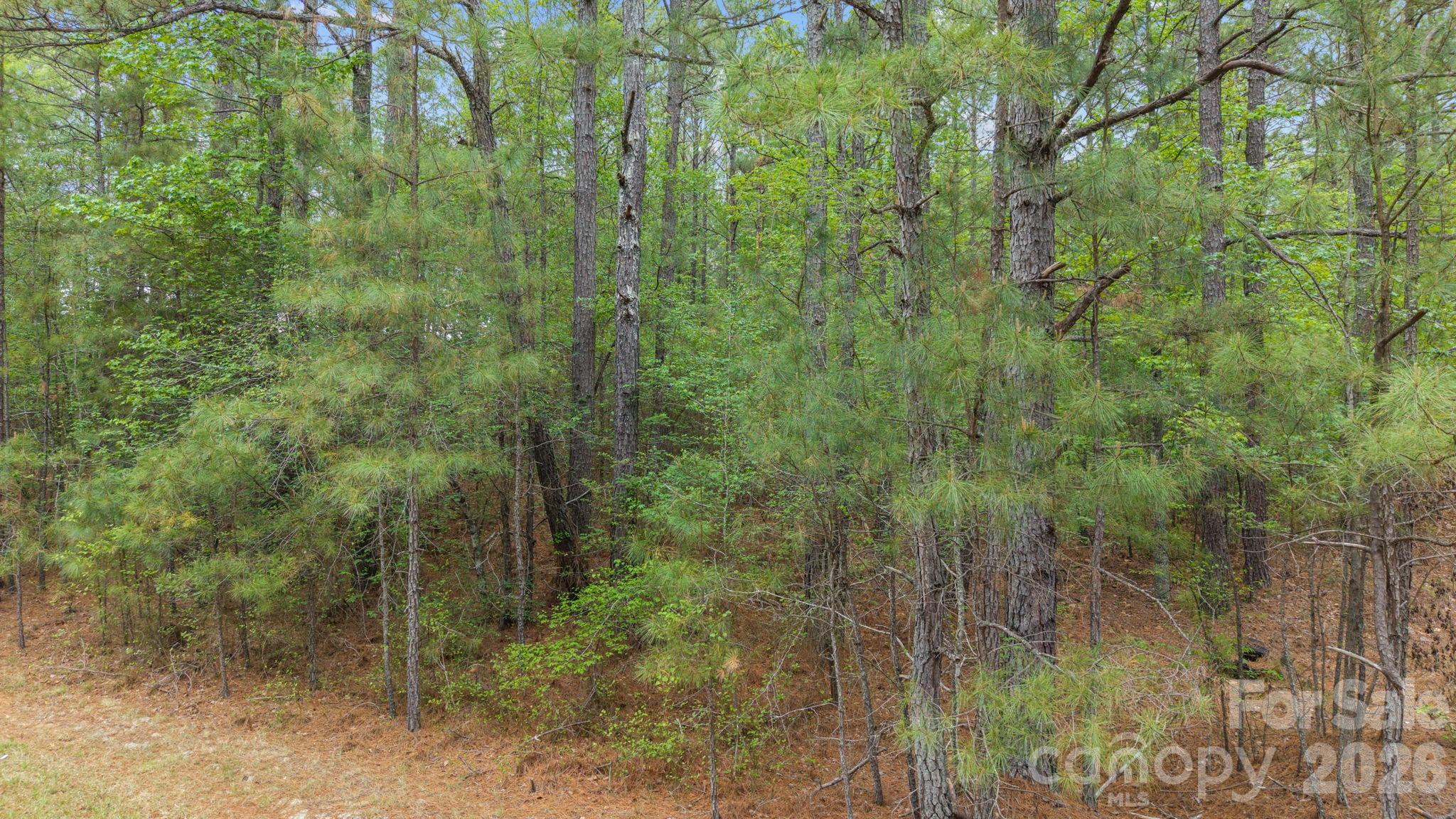 Vacant Davis Haywood Road Mount Gilead NC 27306