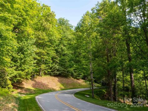 166 Chattooga Run Hendersonville NC 28739