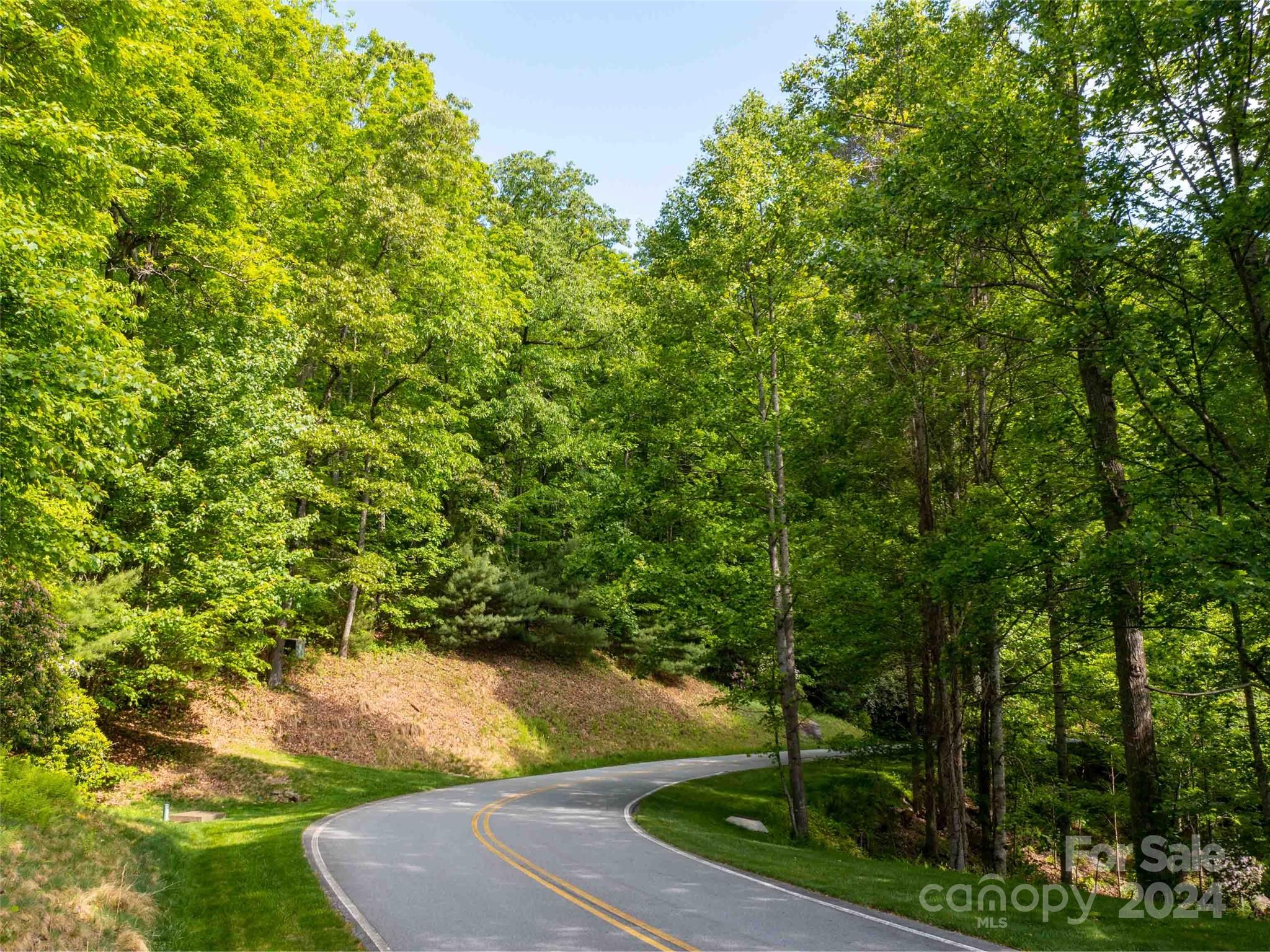 166 Chattooga Run Hendersonville NC 28739