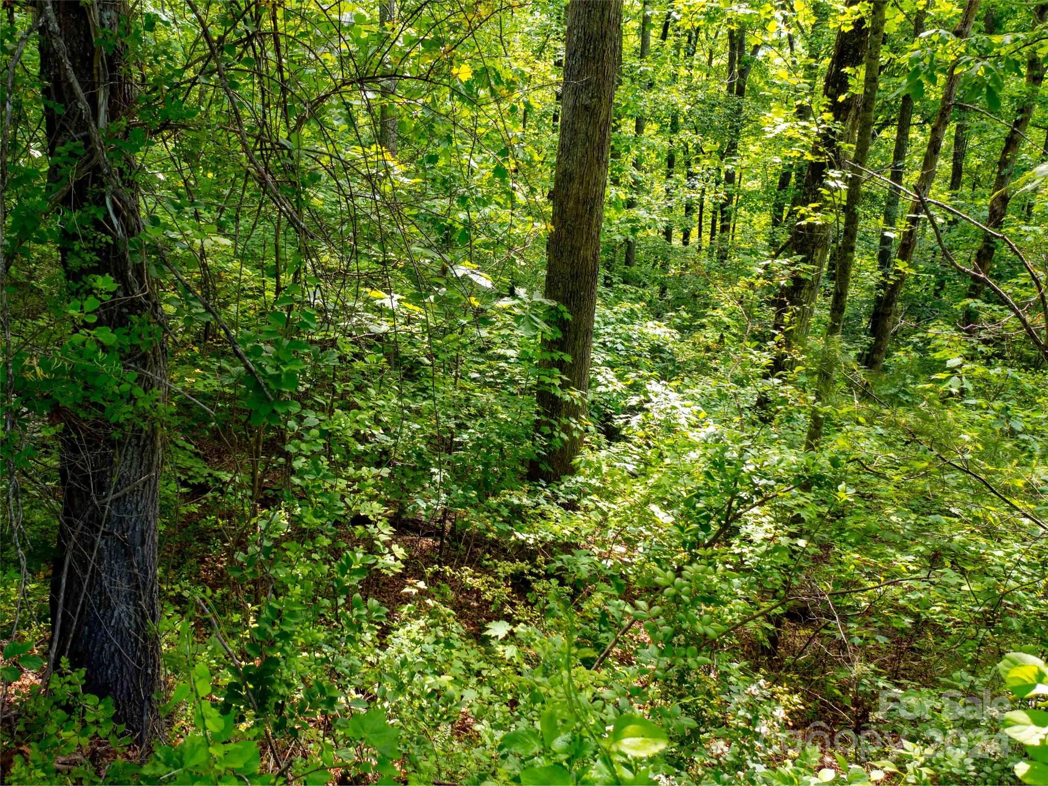 166 Chattooga Run Hendersonville NC 28739