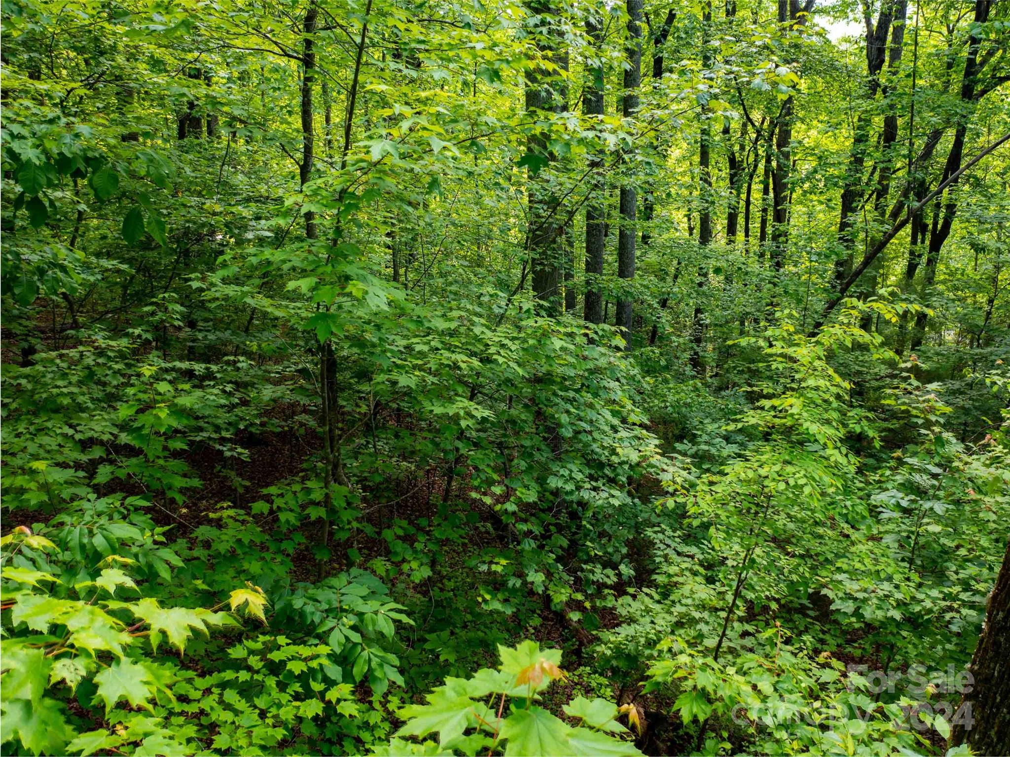 166 Chattooga Run Hendersonville NC 28739
