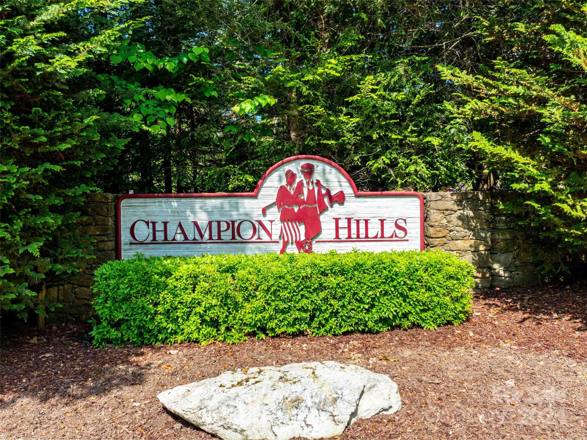166 Chattooga Run Hendersonville NC 28739