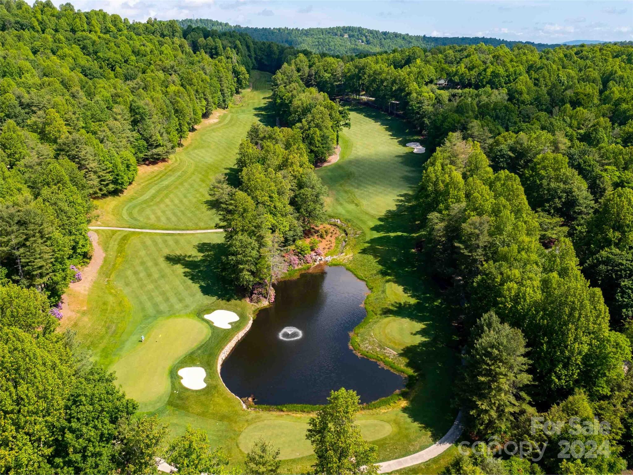 166 Chattooga Run Hendersonville NC 28739
