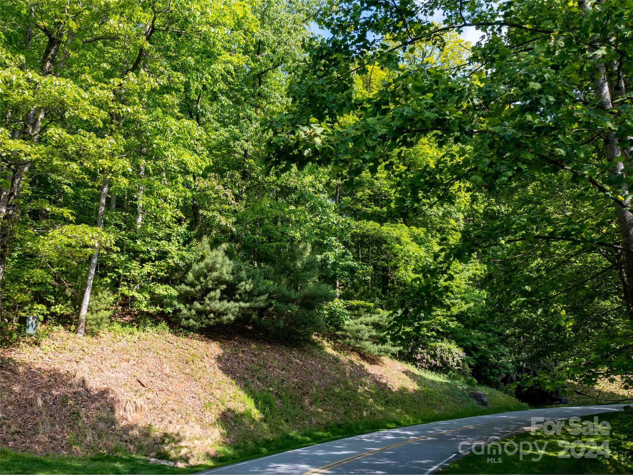 166 Chattooga Run Hendersonville NC 28739