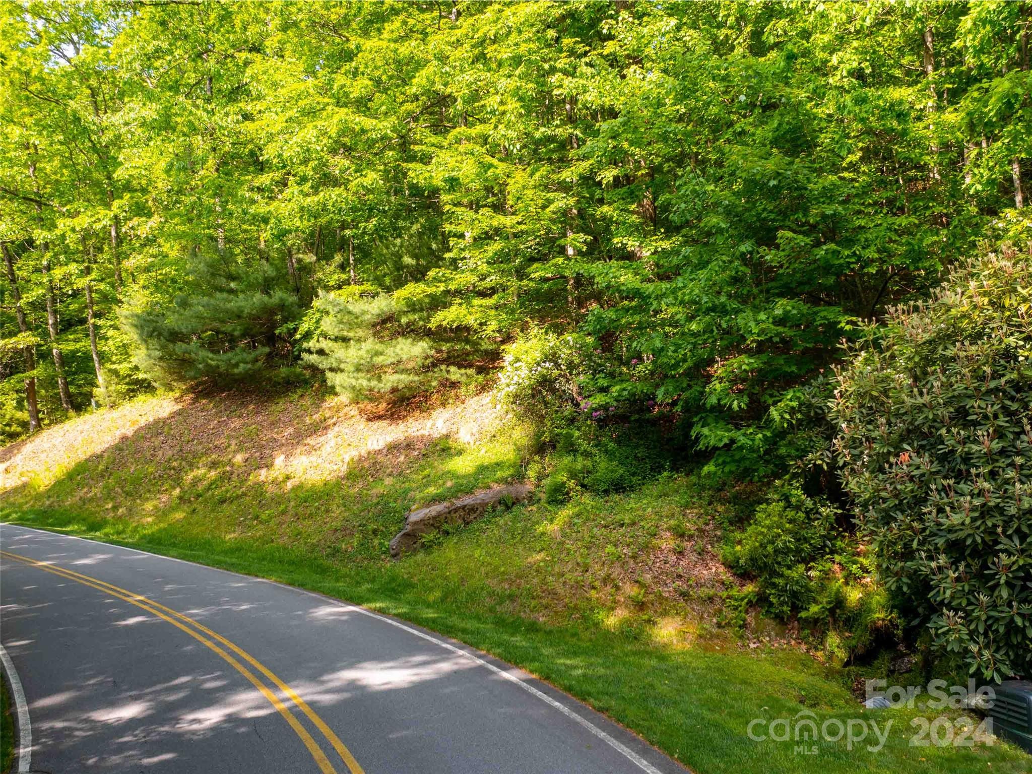 166 Chattooga Run Hendersonville NC 28739