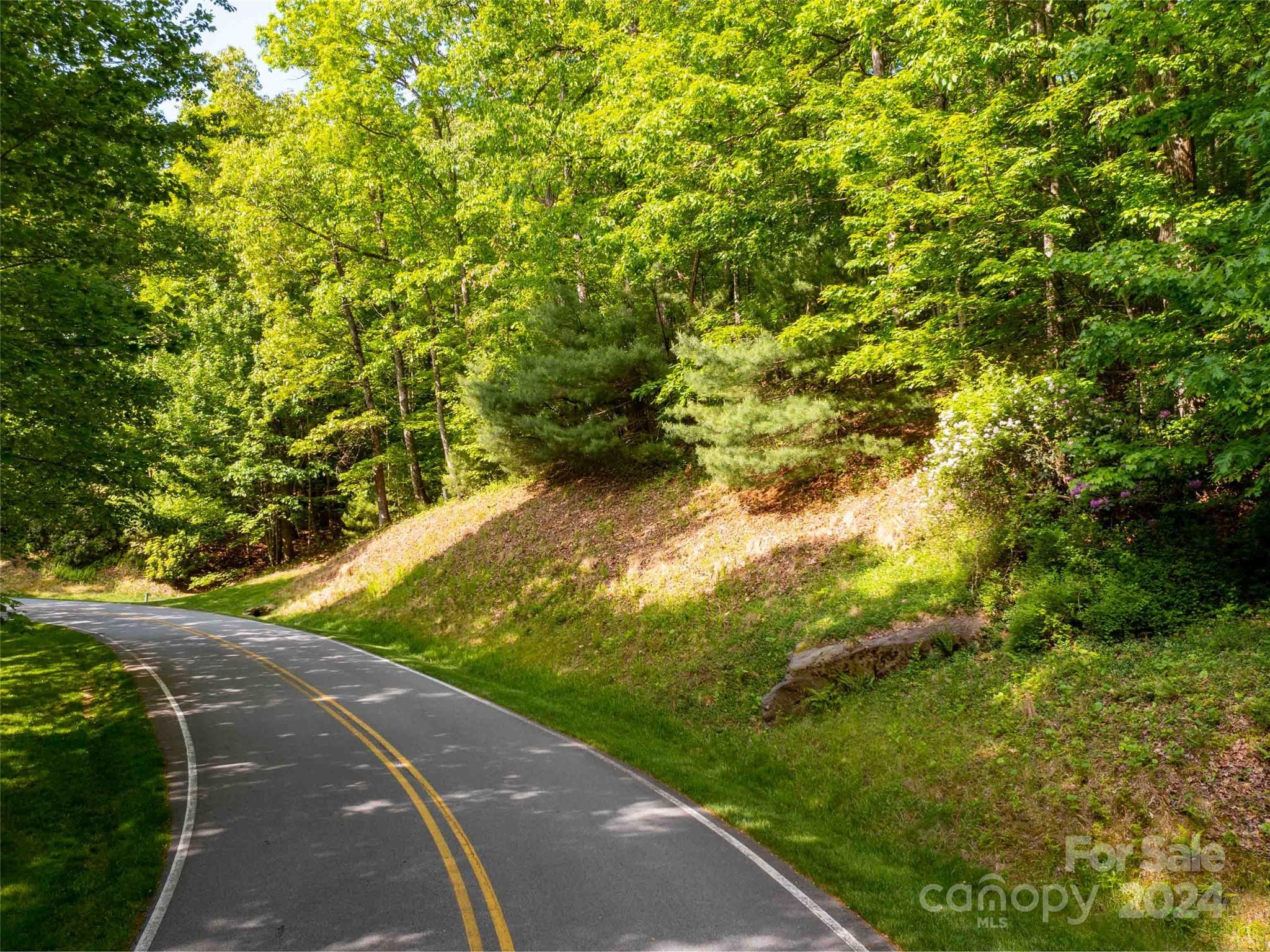 166 Chattooga Run Hendersonville NC 28739