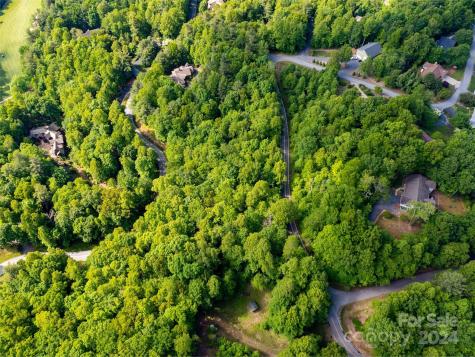 166 Chattooga Run Hendersonville NC 28739