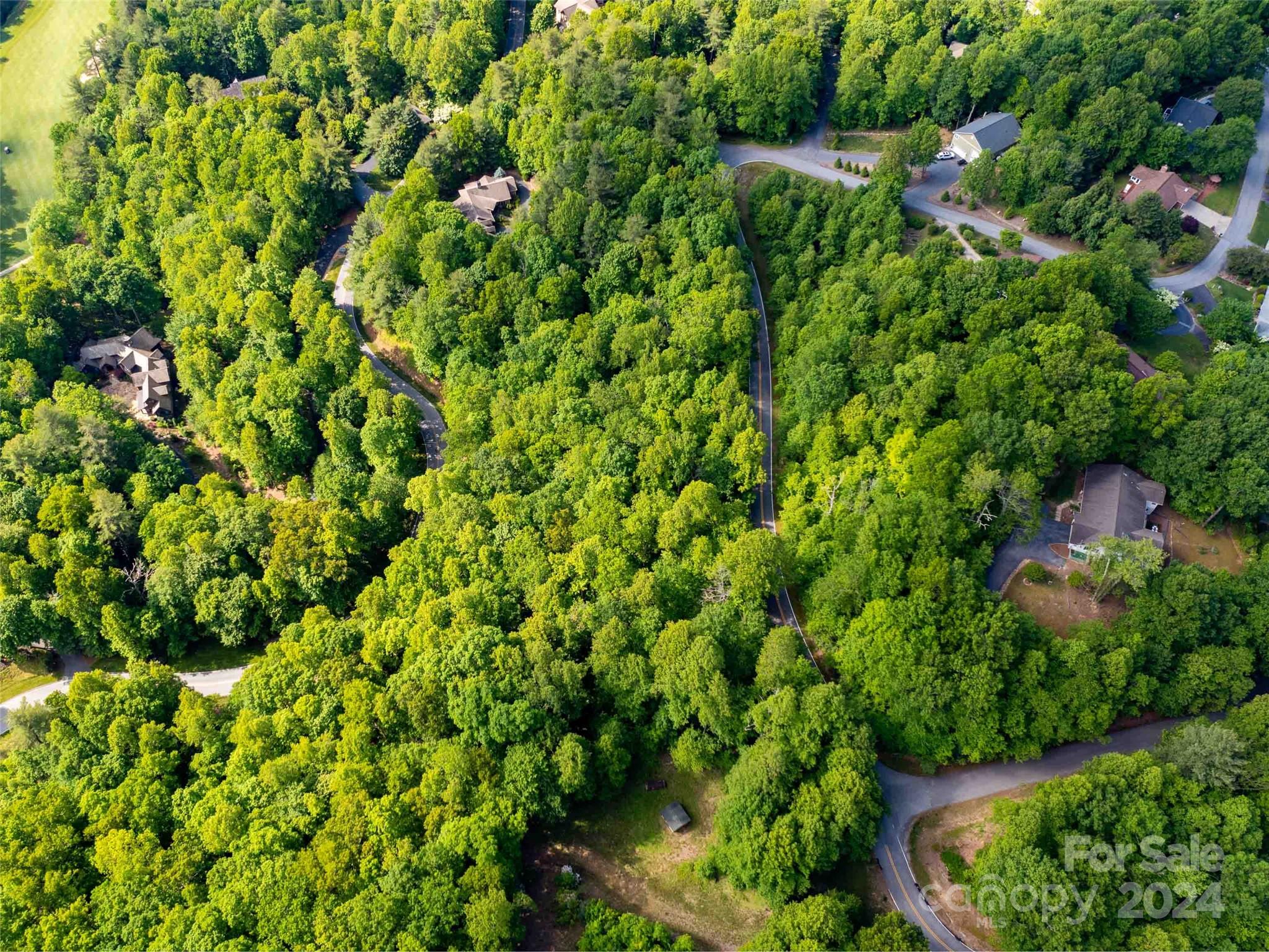 166 Chattooga Run Hendersonville NC 28739