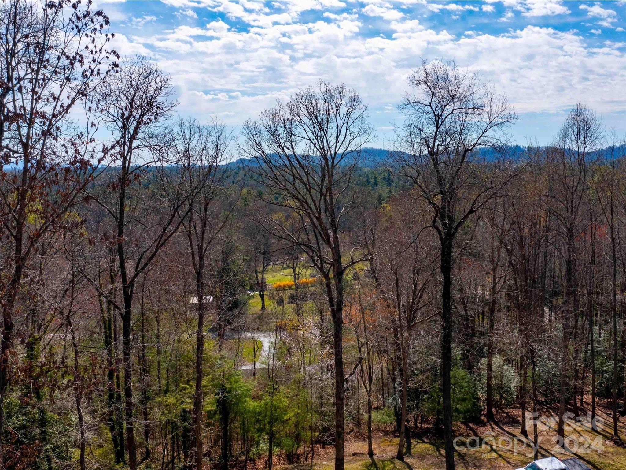 Lot 29 Connemara Overlook Drive Hendersonville NC 28739