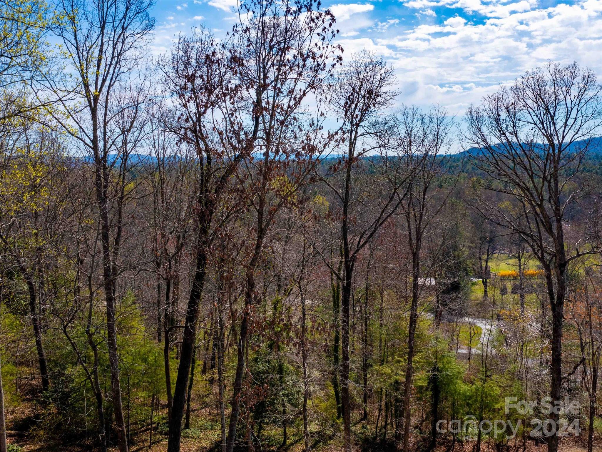 Lot 29 Connemara Overlook Drive Hendersonville NC 28739