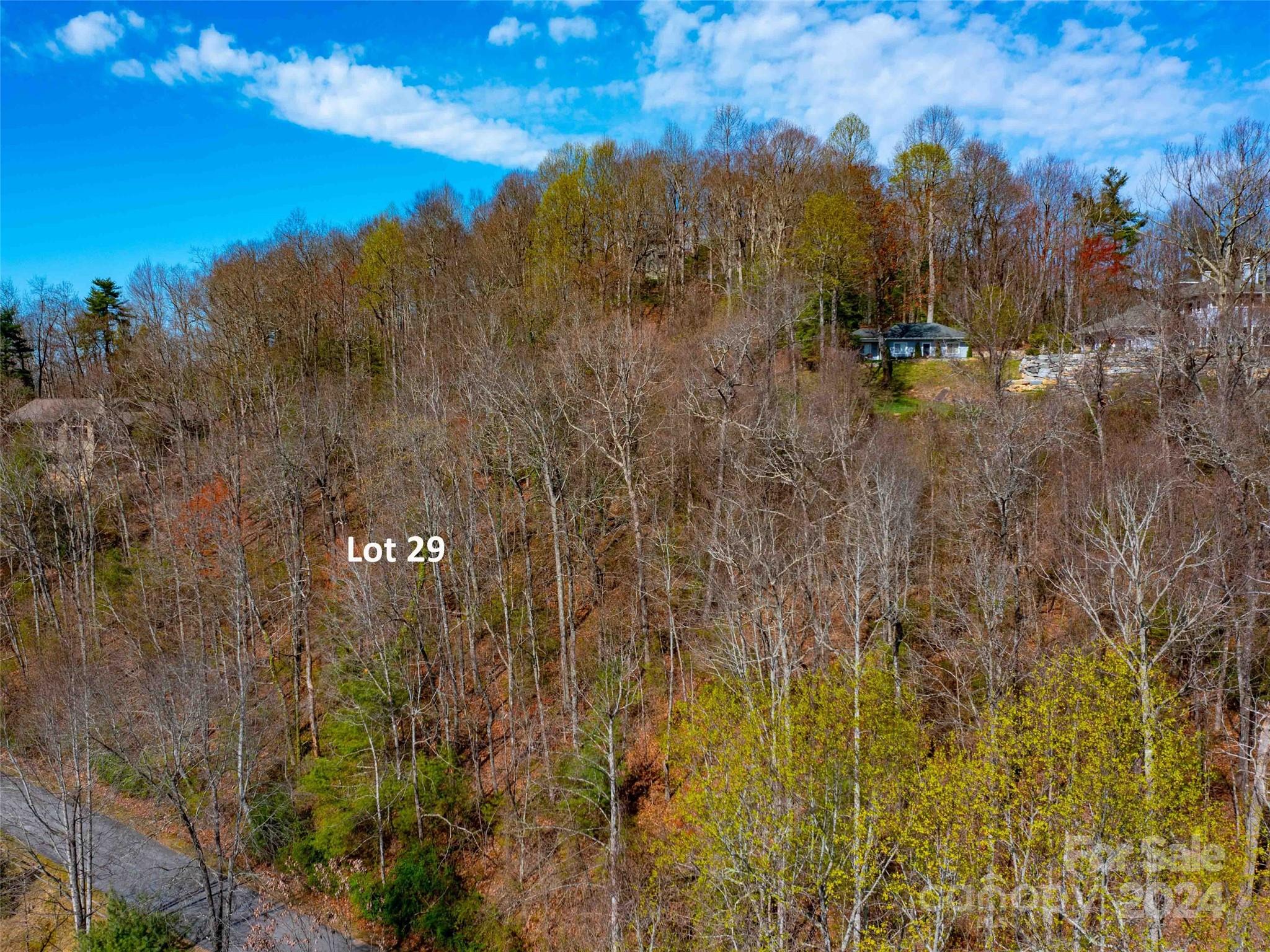 Lot 29 Connemara Overlook Drive Hendersonville NC 28739