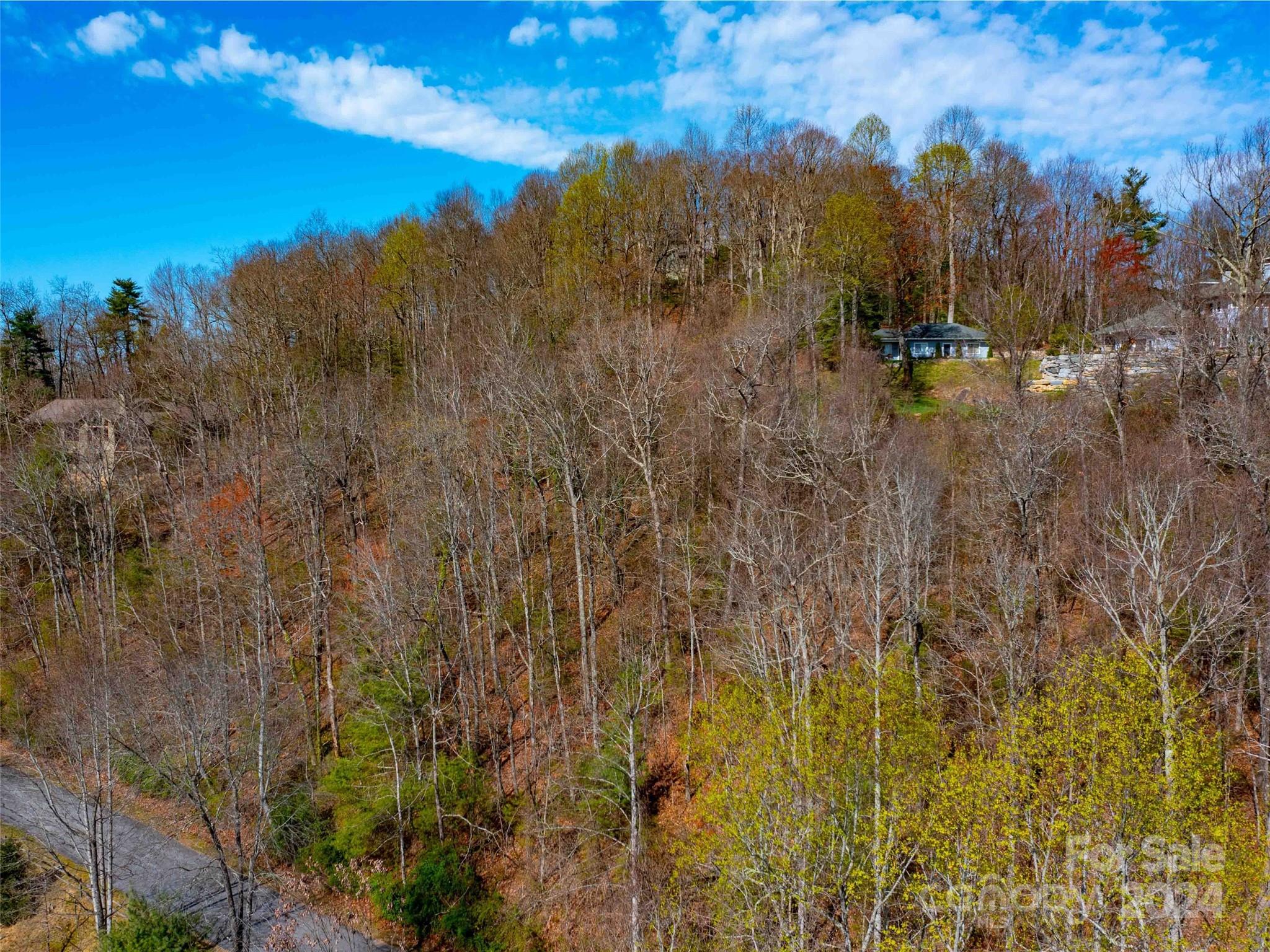 Lot 29 Connemara Overlook Drive Hendersonville NC 28739