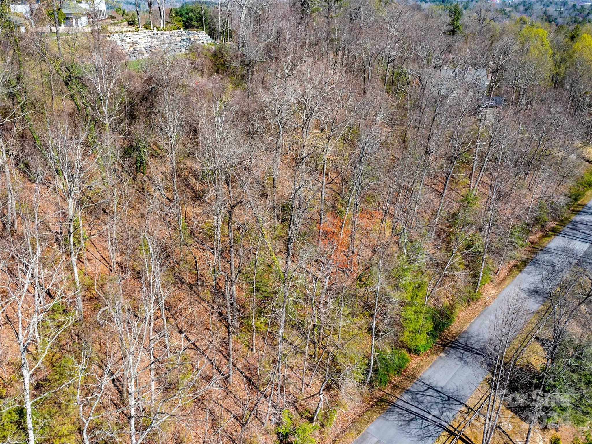 Lot 29 Connemara Overlook Drive Hendersonville NC 28739