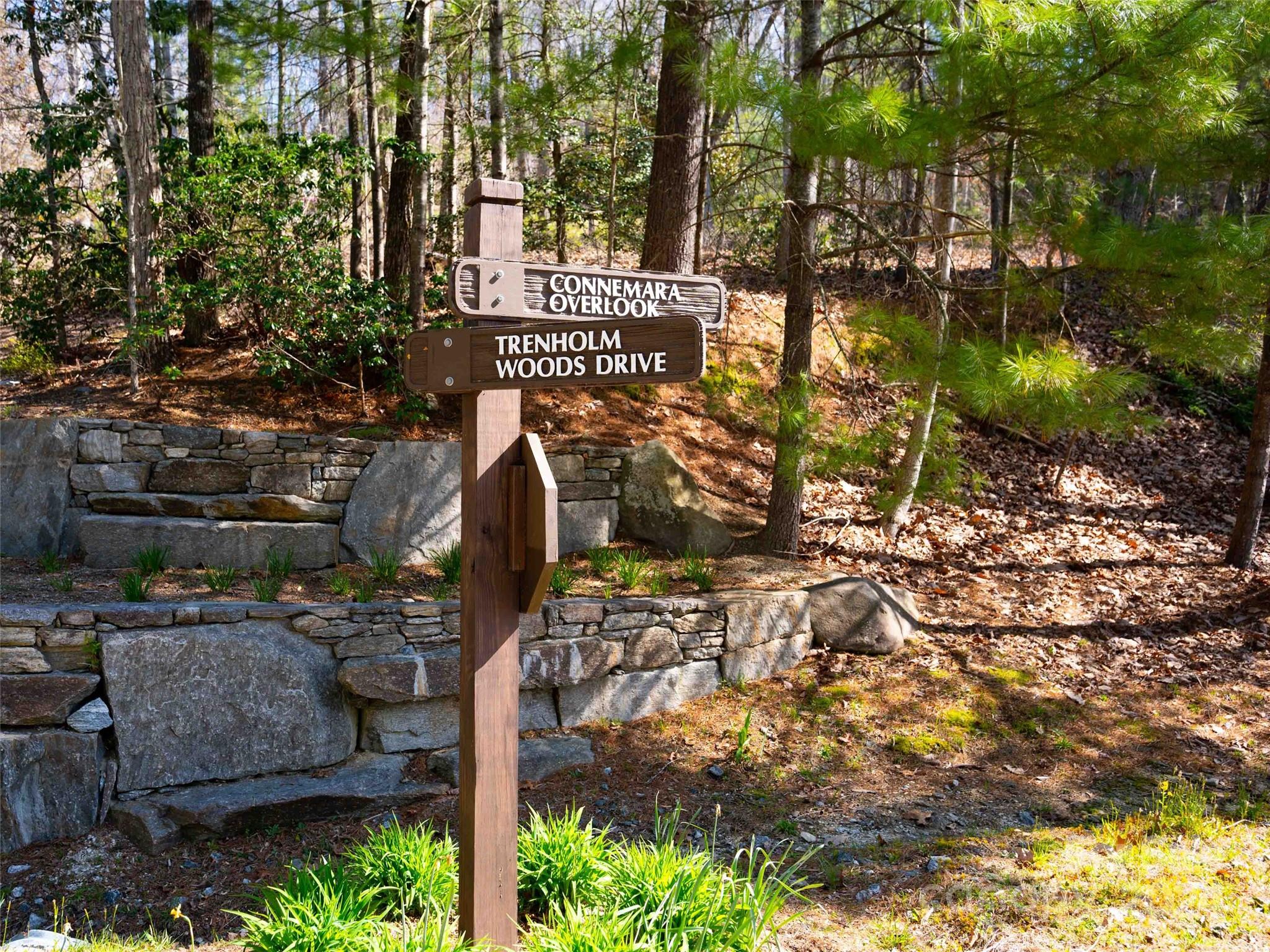 Lot 29 Connemara Overlook Drive Hendersonville NC 28739