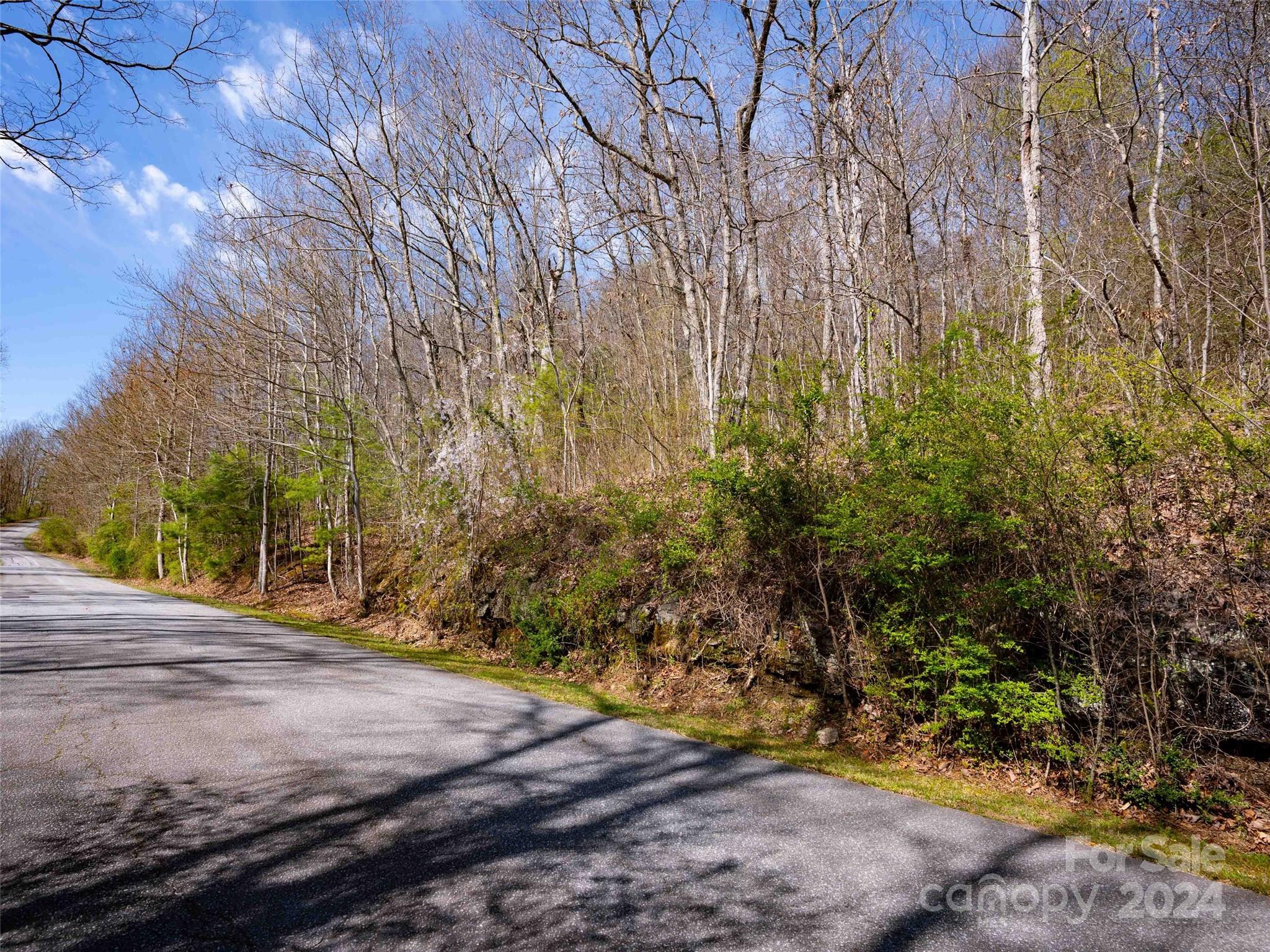 Lot 29 Connemara Overlook Drive Hendersonville NC 28739