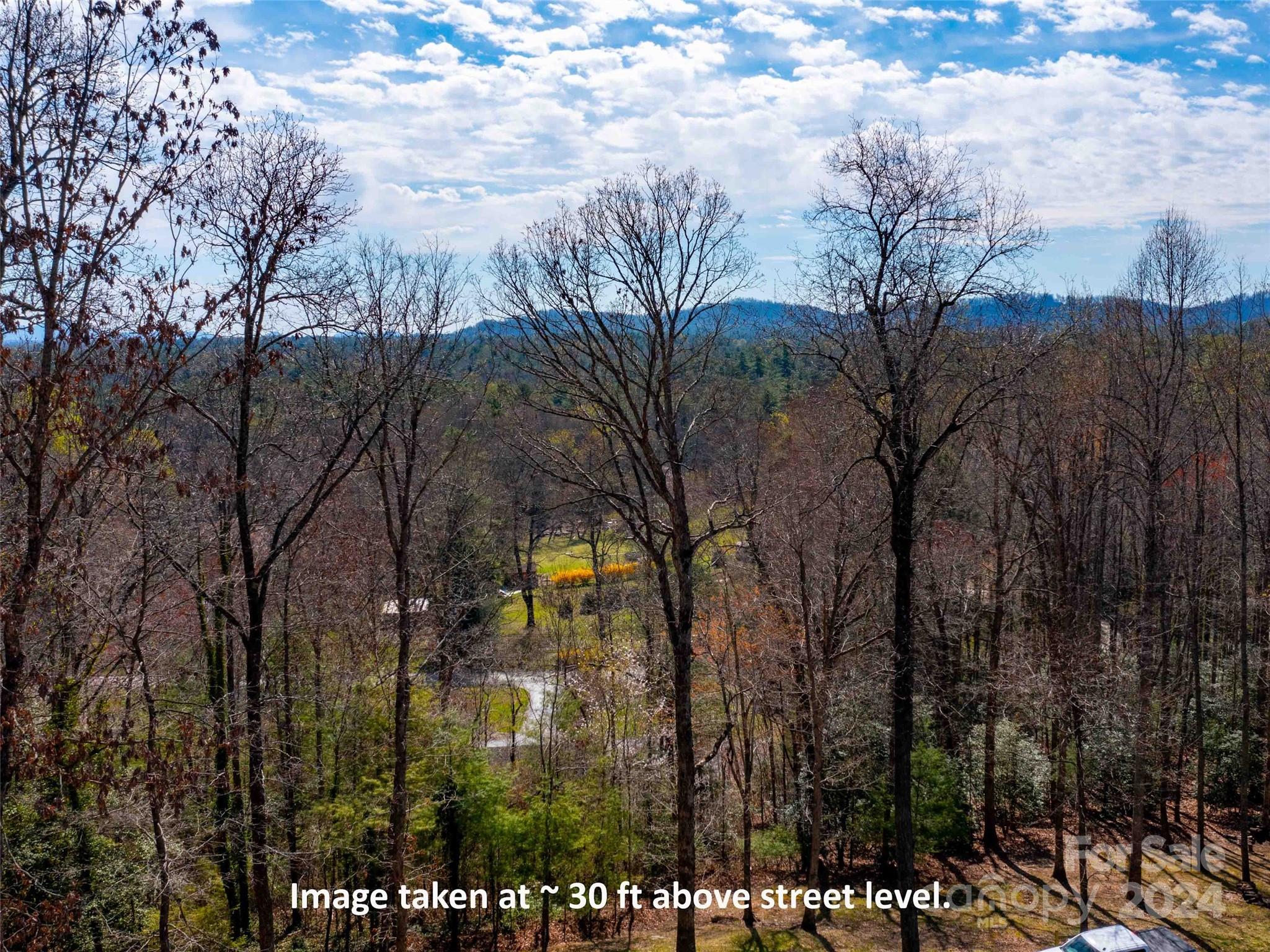 Lot 29 Connemara Overlook Drive Hendersonville NC 28739