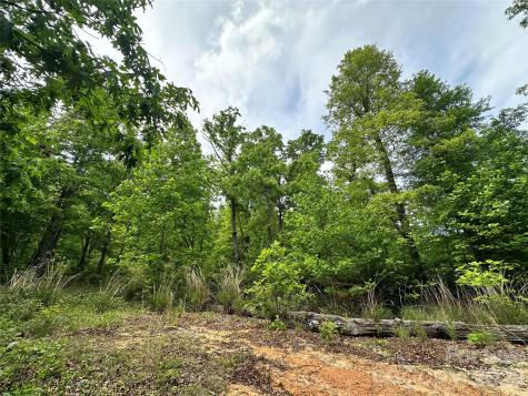 99999 Bird Creek Estates Road Black Mountain NC 28711