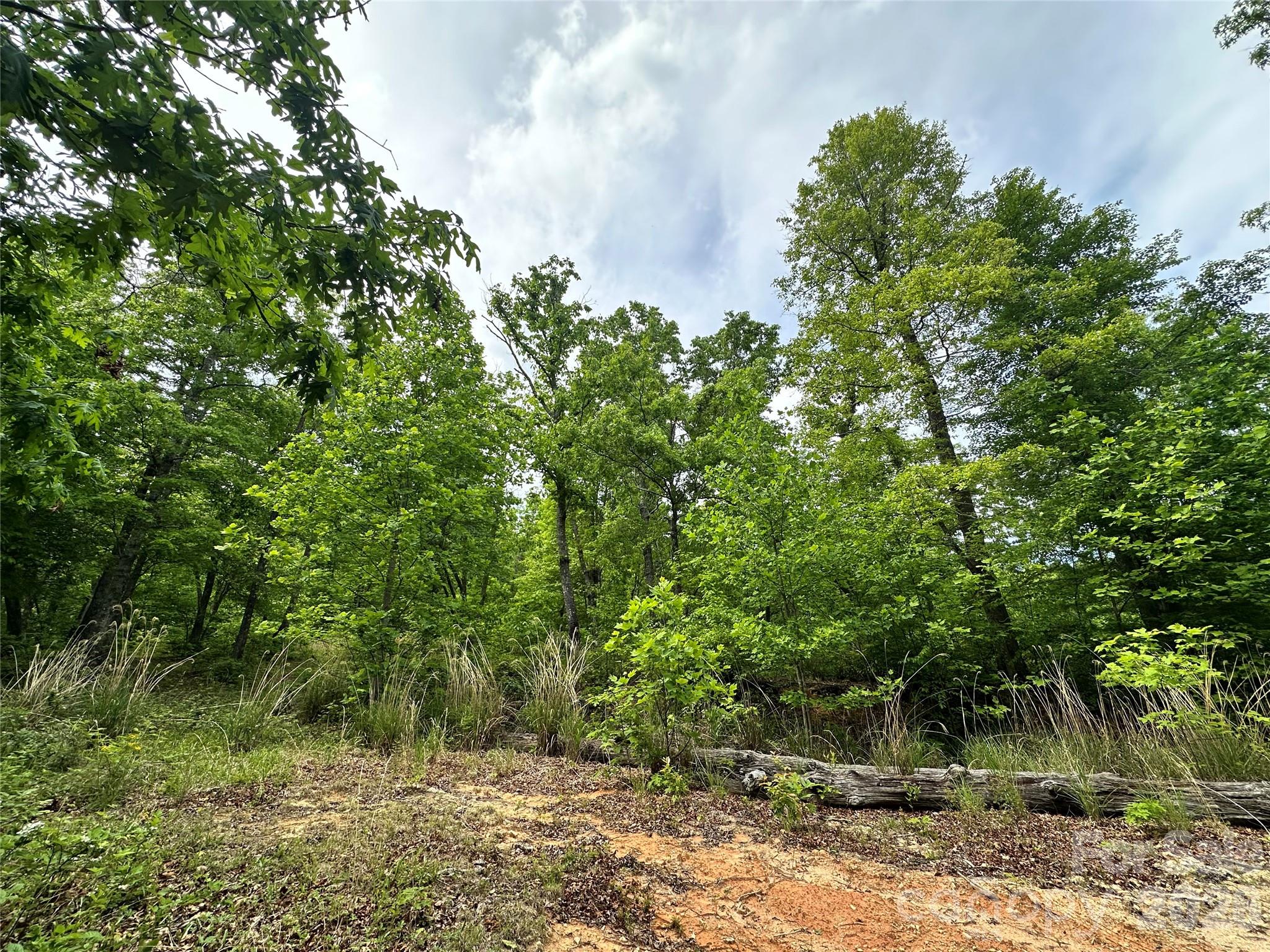 Black Mountain NC, 99999 Bird Creek Estates Road