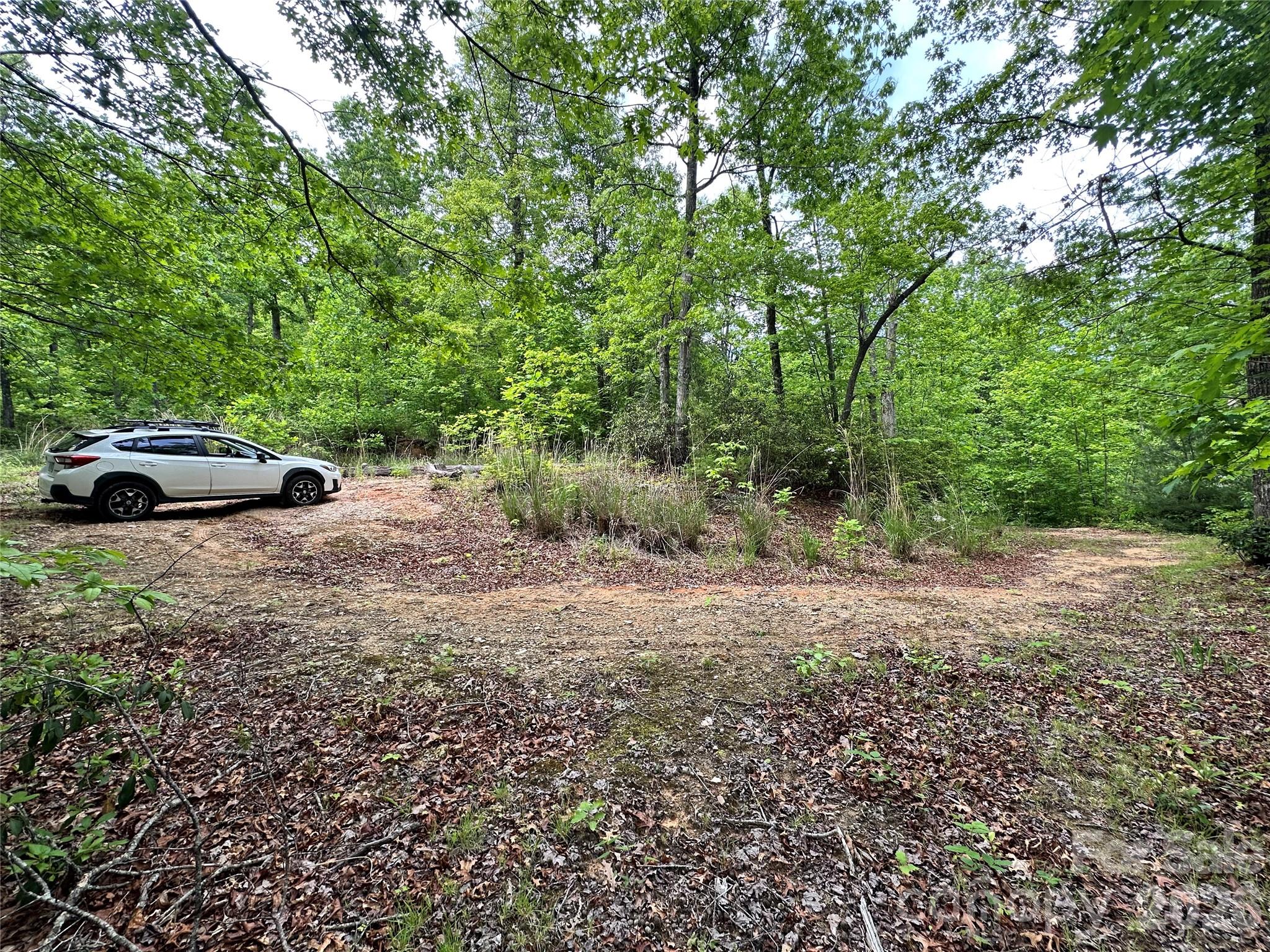 99999 Bird Creek Estates Road Black Mountain NC 28711