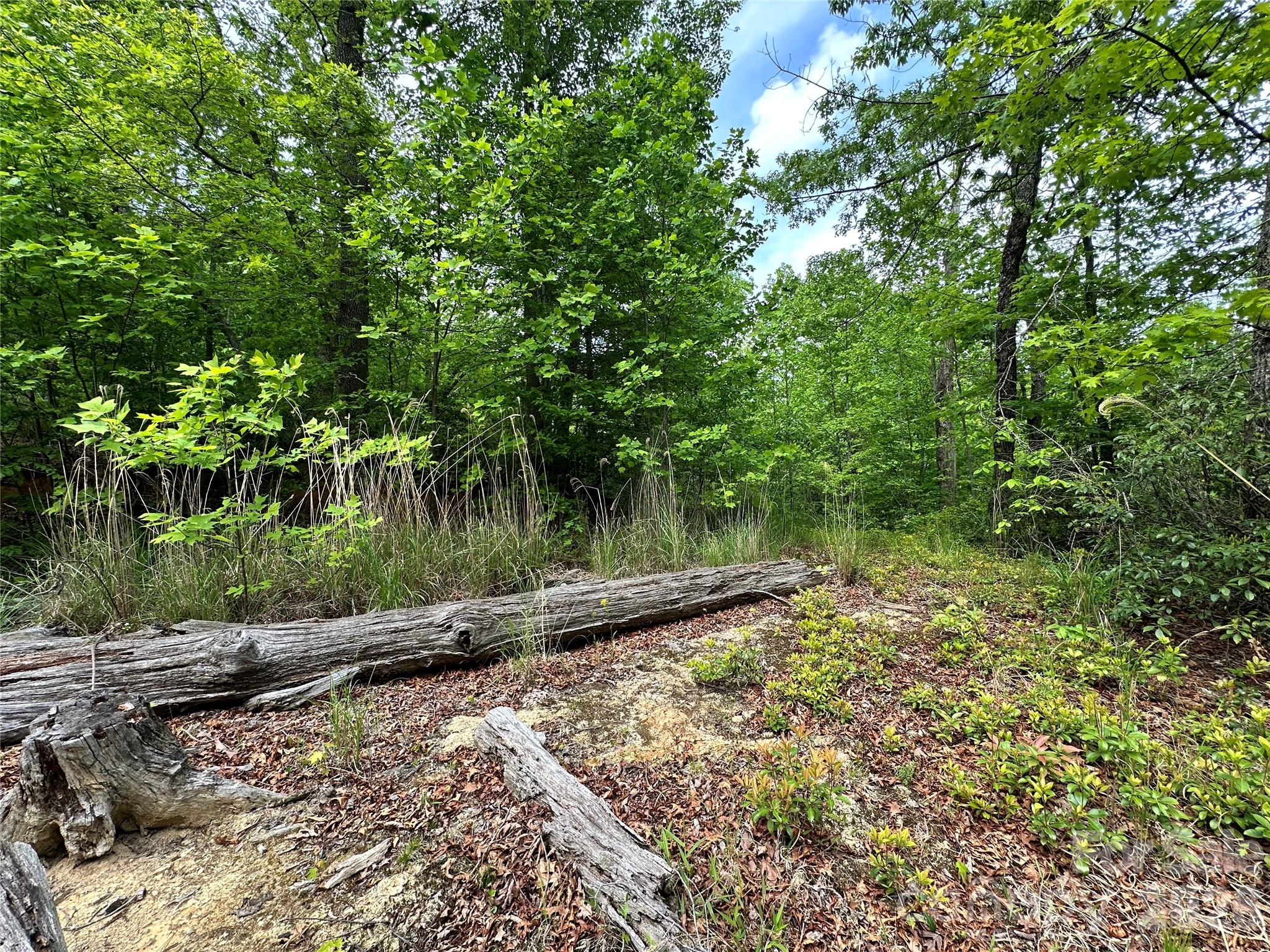 99999 Bird Creek Estates Road Black Mountain NC 28711