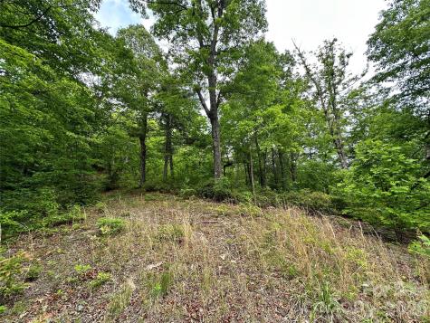 99999 Bird Creek Estates Road Black Mountain NC 28711