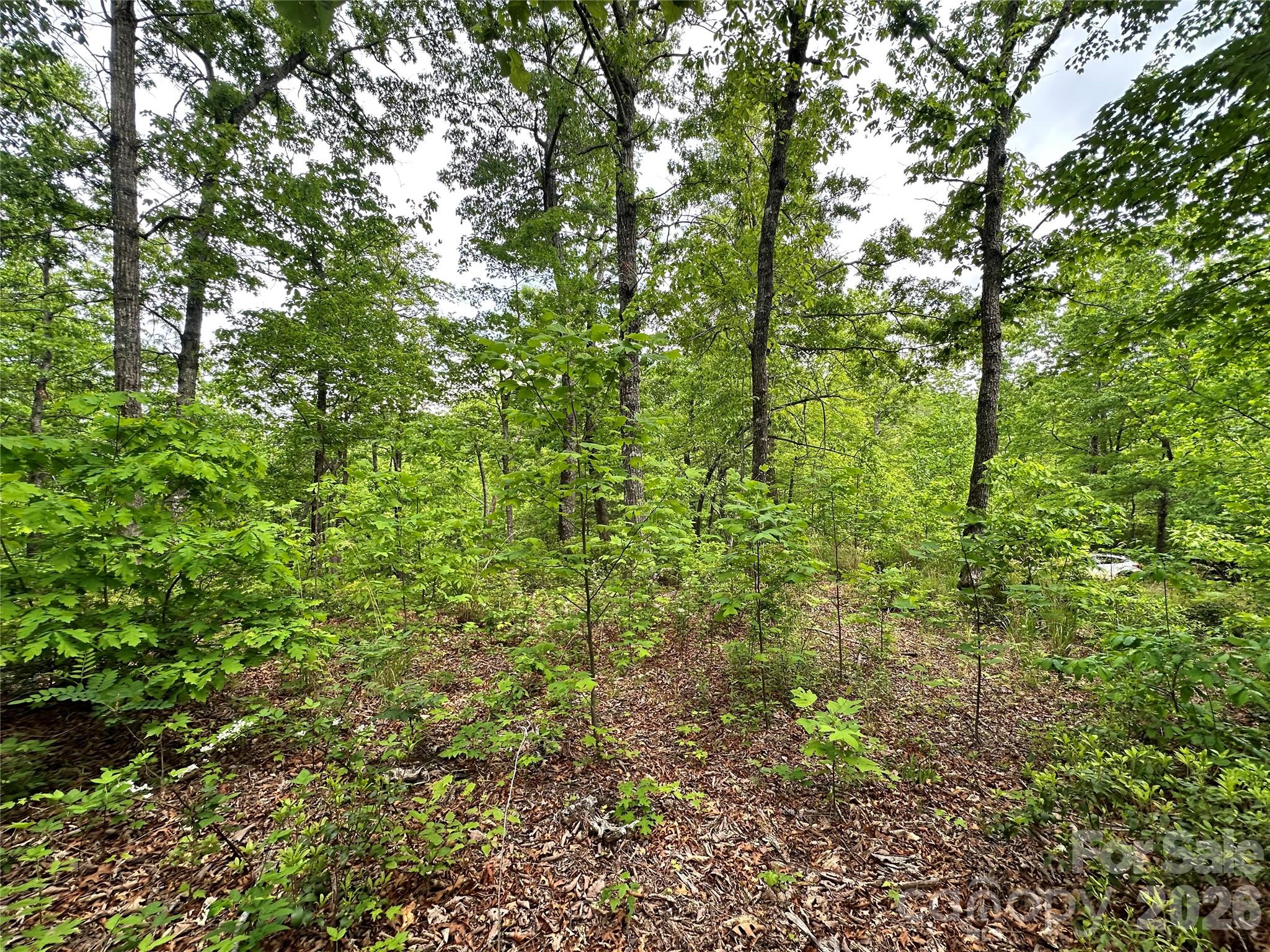 99999 Bird Creek Estates Road Black Mountain NC 28711