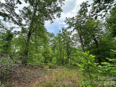 99999 Bird Creek Estates Road Black Mountain NC 28711