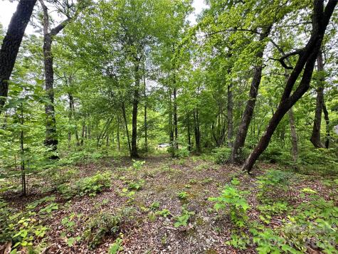 99999 Bird Creek Estates Road Black Mountain NC 28711