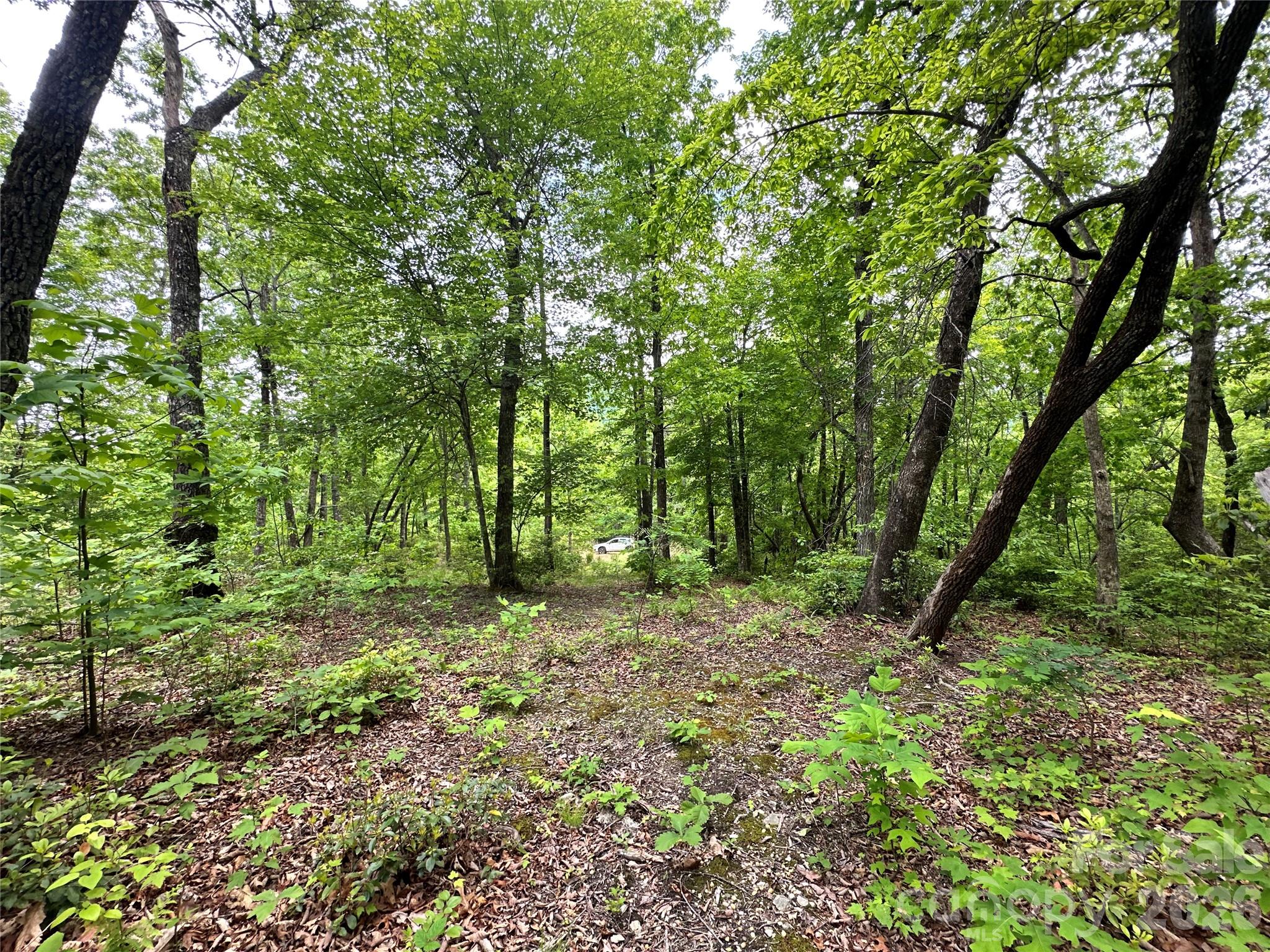 99999 Bird Creek Estates Road Black Mountain NC 28711
