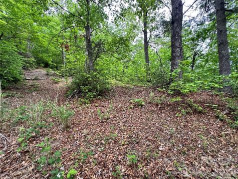 99999 Bird Creek Estates Road Black Mountain NC 28711
